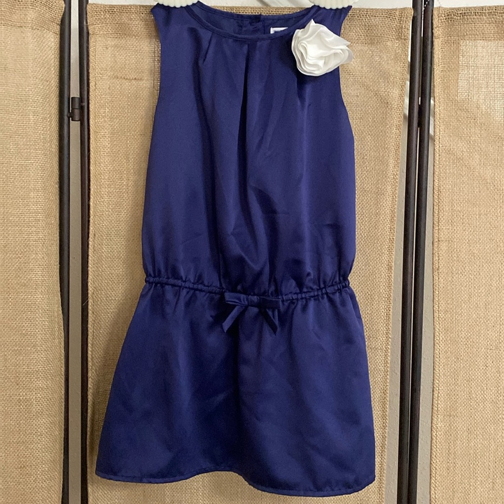 Janie and Jack Posh Posy Blossom Dress EUC Girls Blue  3D Flower Size 6